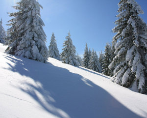 PF 2012